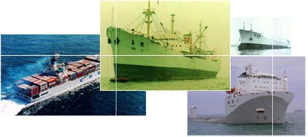 化妝品批發(fā)商如何選擇上海到東莞國(guó)內(nèi)海運(yùn)運(yùn)輸公司——以深圳市恒洋物流東莞分公司為例